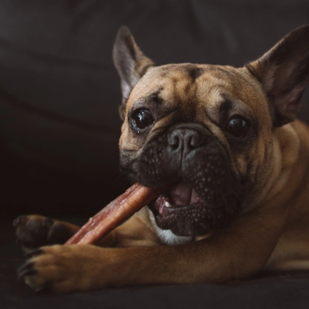 Bully Box Bonanza: A Year of Delicious Dog Treats and Chews!